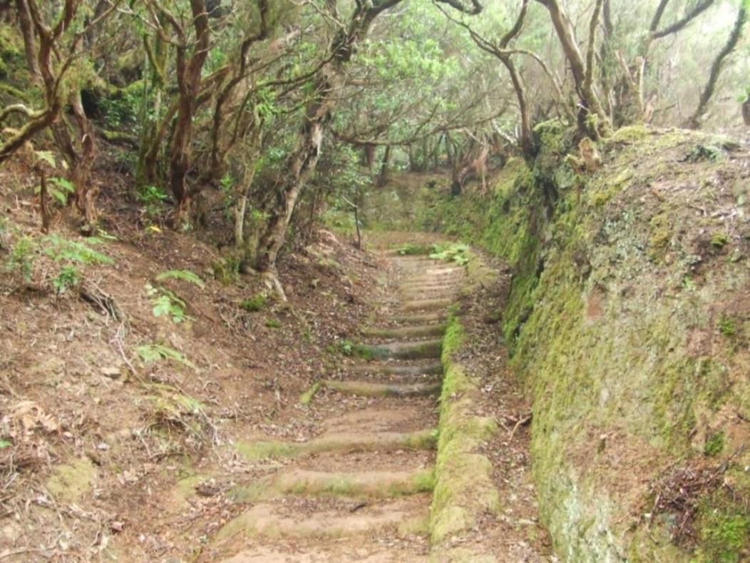 Casa Del Cu Bano A- Biosphere Reserve Taganana Zewnętrze zdjęcie